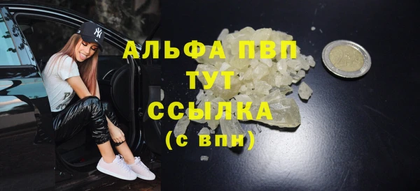 прущие грибы Заволжск
