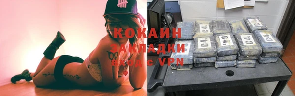 прущие грибы Заволжск