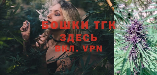 прущие грибы Заволжск