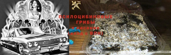 винт Заводоуковск